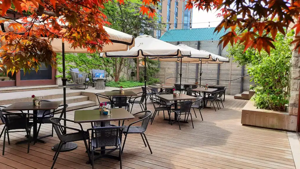 The Lazy Tulip Cafe In Barrie