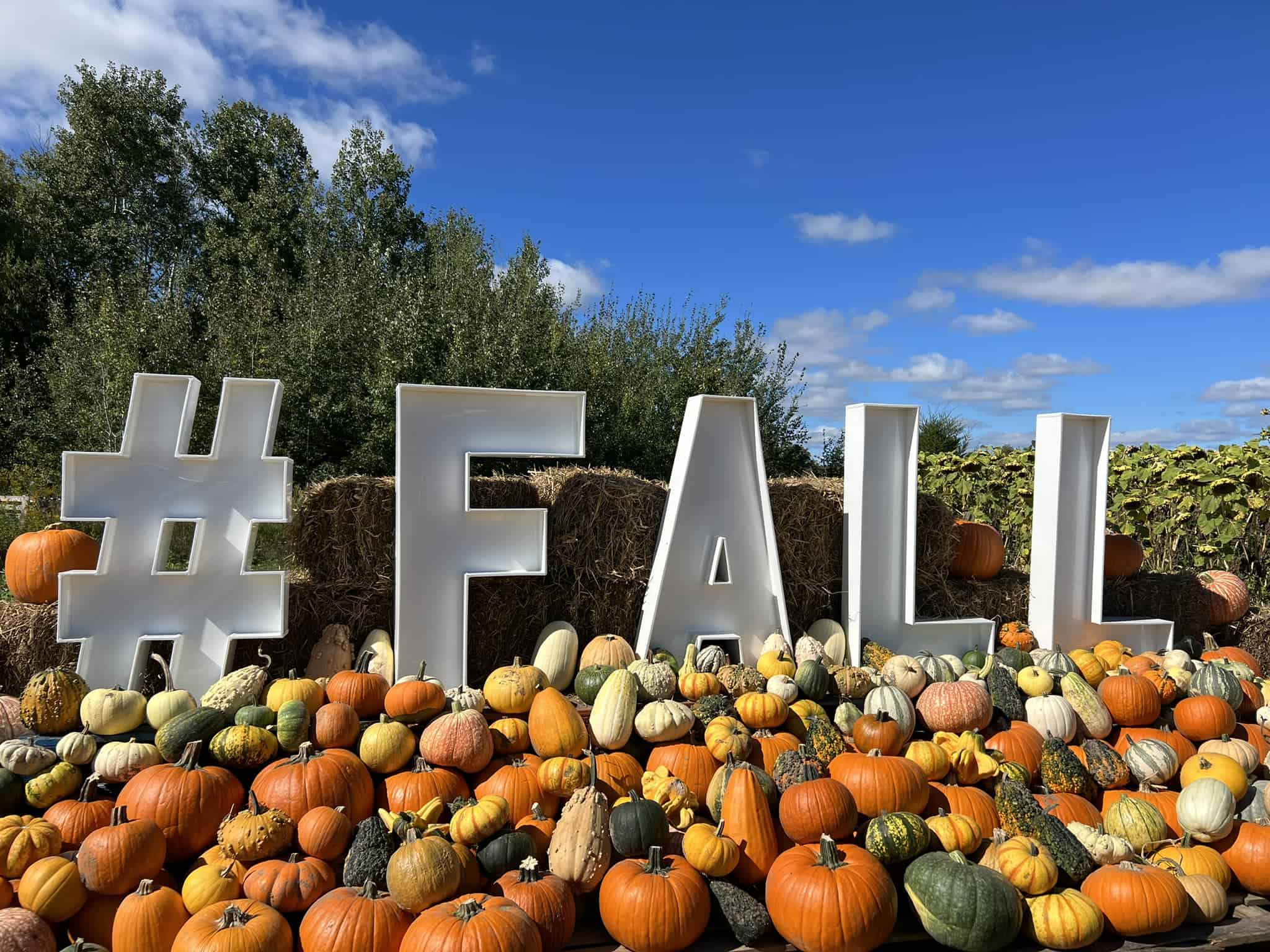 richmond hill ga pumpkin patch