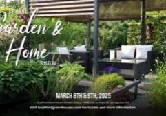 480800495_946950274234150_4968783797334365969_n